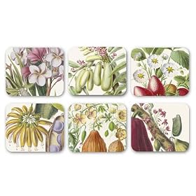 Jason Products Flore d'Amerique Coasters, Set of 6 by Jason