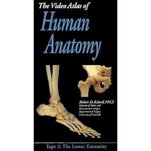 Acland's Video Atlas of Human Anatomy: The Lower Extremity :Tape 2