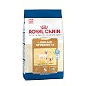 Royal Canin Labrador Retriever 30 Dog Food Dry Bag 12kg