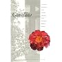 Camellias: A Curator's Introduction to the Camellia Collection in the Huntington Botanical Gardens (Huntington Pictorial Guide)