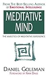 The meditative mind : the varieties of meditative experience