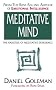 Meditative Mind: The Varieties of Meditative Experience (Classics of Personal Development)