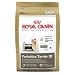 yorkshire_terrier27yorkshire terrier - Royal Canin MINI Canine Health Nutrition Yorkshire 28
