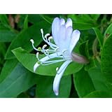 ���i�̏ڍ�