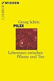 Bild zu: Pilze: Lebewesen zwischen Pflanze und Tier