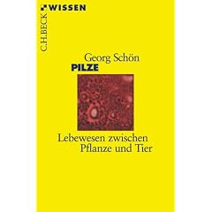 Pilze: Lebewesen zwischen Pflanze und Tier