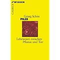 Pilze: Lebewesen zwischen Pflanze und Tier