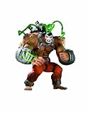 DC BATMAN ARKHAM ASYLUM SERIES 2 BANE ACTION FIGURE [Toy]