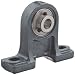 FYH UCPH202 Pillow Block Mounted Bearing, 2 Bolt, 15mm Inside Diameter, Set screw Lock, Cast Iron, Metric