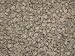 Guatemala Green Coffee Beans - 5lbs