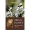 Ultimate Soul Nourishing Guide to Harvesting and Cooking with Honey