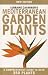 Lorraine Cavanagh's Mediterranean Garden Plants