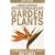 Lorraine Cavanagh's Mediterranean Garden Plants