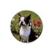 Boston Terrier Rubber Round Coaster (4 pack)
