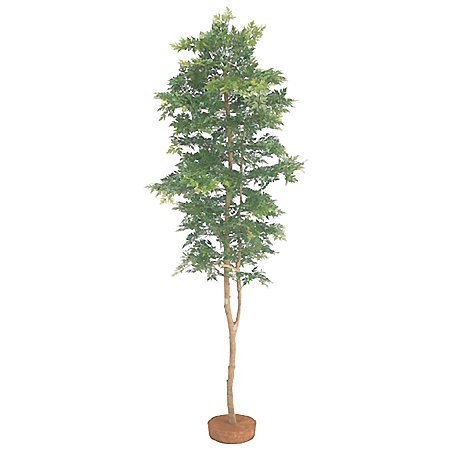 【人工植物】山もみじ 鉢無 1.5m