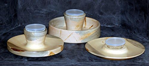 Chip-N-Dip Container from Beetle Killed Pine