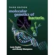 Molecular Genetics of Bacteria (Snyder, Molecular Genetics of Bacteria) by Larry Snyder and Wendy Champness