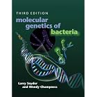 Click here to buy Molecular Genetics of Bacteria (Snyder, Molecular Genetics of Bacteria) by Larry Snyder and Wendy Champness.