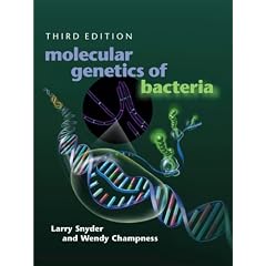 Molecular Genetics of Bacteria (Snyder, Molecular Genetics of Bacteria)