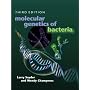 Molecular Genetics of Bacteria (Snyder, Molecular Genetics of Bacteria)