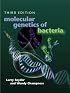 Molecular Genetics of Bacteria (Snyder, Molecular Genetics of Bacteria)