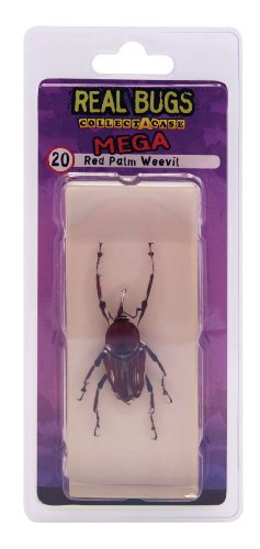 DeAgostini Real Bugs Red Palm Weevil Bug