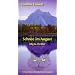 Schnee im August: Kassandras unglaublicher Fall. Ein Allg�u-Thriller
