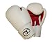 FITNESS MAD Ladies Synthetic Leather Sparring Gloves