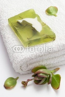 Wallmonkeys Peel and Stick Wall Decals - Green Soap on White Towel - 24