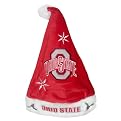 Ohio State Buckeyes Santa Hat