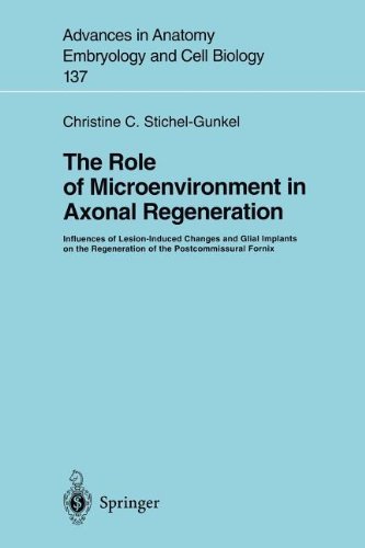 The Role of Microenvironment in Axonal Regeneration: Influences of Lesion-Induced Changes and Glial Implants on the Regeneration of the Postcommissural ... in Anatomy, Embryology and Cell Biology)