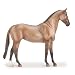 Sport Horse - Grullo 