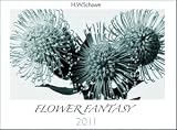 Flower Fantasy 2011