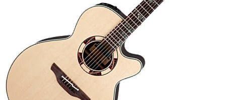 Takamine DSF47C N エレアコ