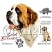 Saint Bernard Adult Sweatshirt