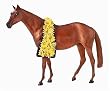 Dreamer Movie Sonador Traditional Model with Sash of Yellow Daisies and Movie Poster