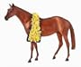 Dreamer Movie Sonador Traditional Model with Sash of Yellow Daisies and Movie Poster