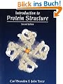 Introduction to Protein Structure