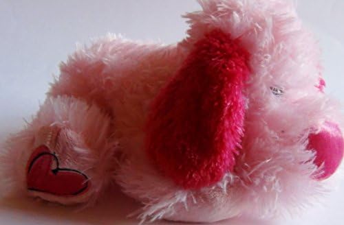 Heart nosed Floppy plush dog, Pink