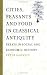 Cities, Peasants and Food in Classical Antiquity: Essays in Social and Economic History