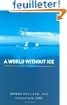 A World Without Ice