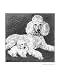 Poodle with Pup, Poodle Giclee Art Poster Print by Evelyn Morris Hecht, 16x20