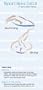 SportSpectator Swimming & Diving Guide (Basic Swimming Rules and Strategies)