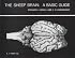 The Sheep Brain: A Basic Guide