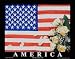 America - In Remembrance of September 11, 2001 World Culture Art Poster Print, 20x16