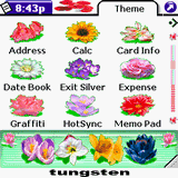 Garden Party SilverScreen Theme downloadable Software