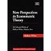 New Perspectives in Econometric Theory: The Selected Works of Halbert White (Economists of the Twentieth Century)