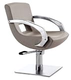 Trendy Styling Chair