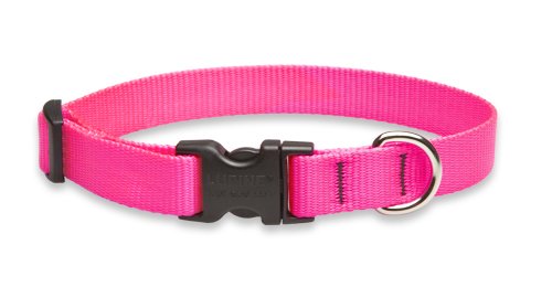 Lupine 3/4″ Hot Pink 11-17 Adjustable Dog Collar