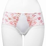 gviTriumphj V[ciSOL@҂゠u@V[cj fBX